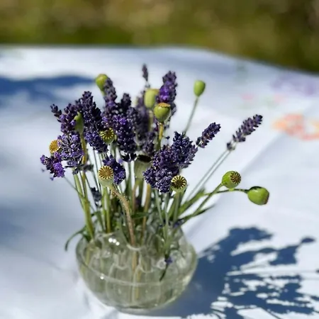 度假居 Creative Family House Near 布洛克胡斯