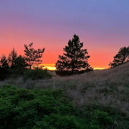 Creative Family House Near