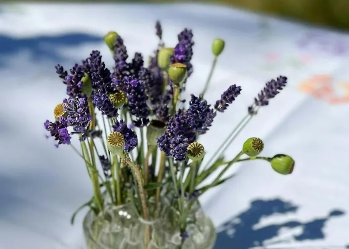 Nyaraló Creative Family House Near Blokhus