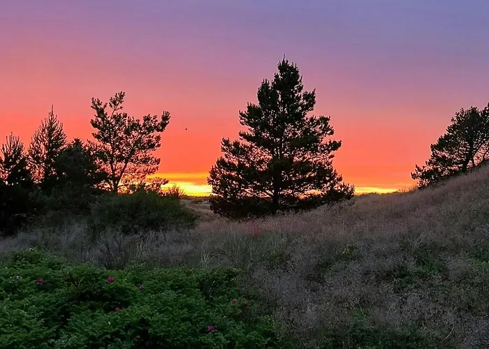 Creative Family House Near